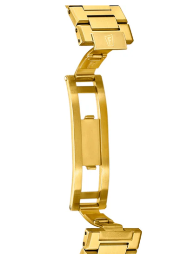 Festina Swiss Made Rive Stainless Steel Analog Mens Watch I Model F20057/1