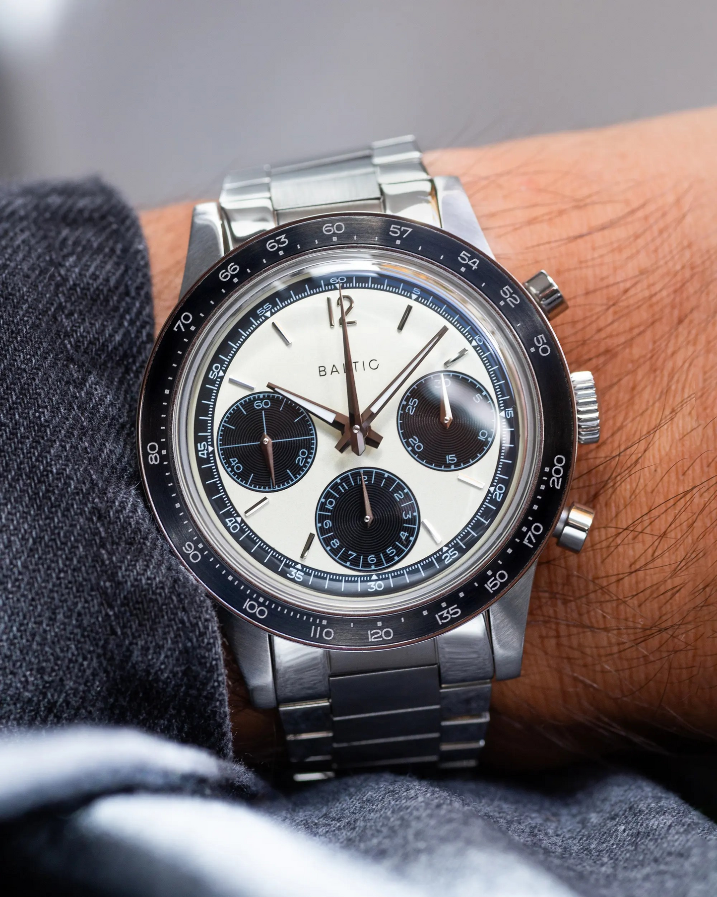 Scalegraph Classic Panda