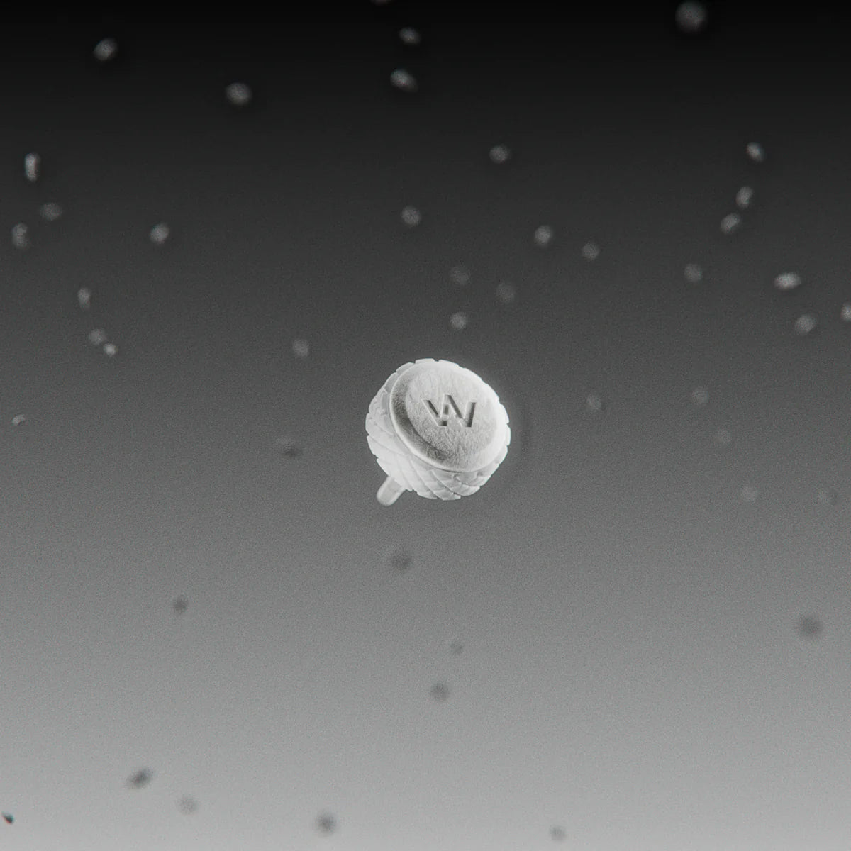 A003CARBON WHITE - BY ERICH SHIBATA