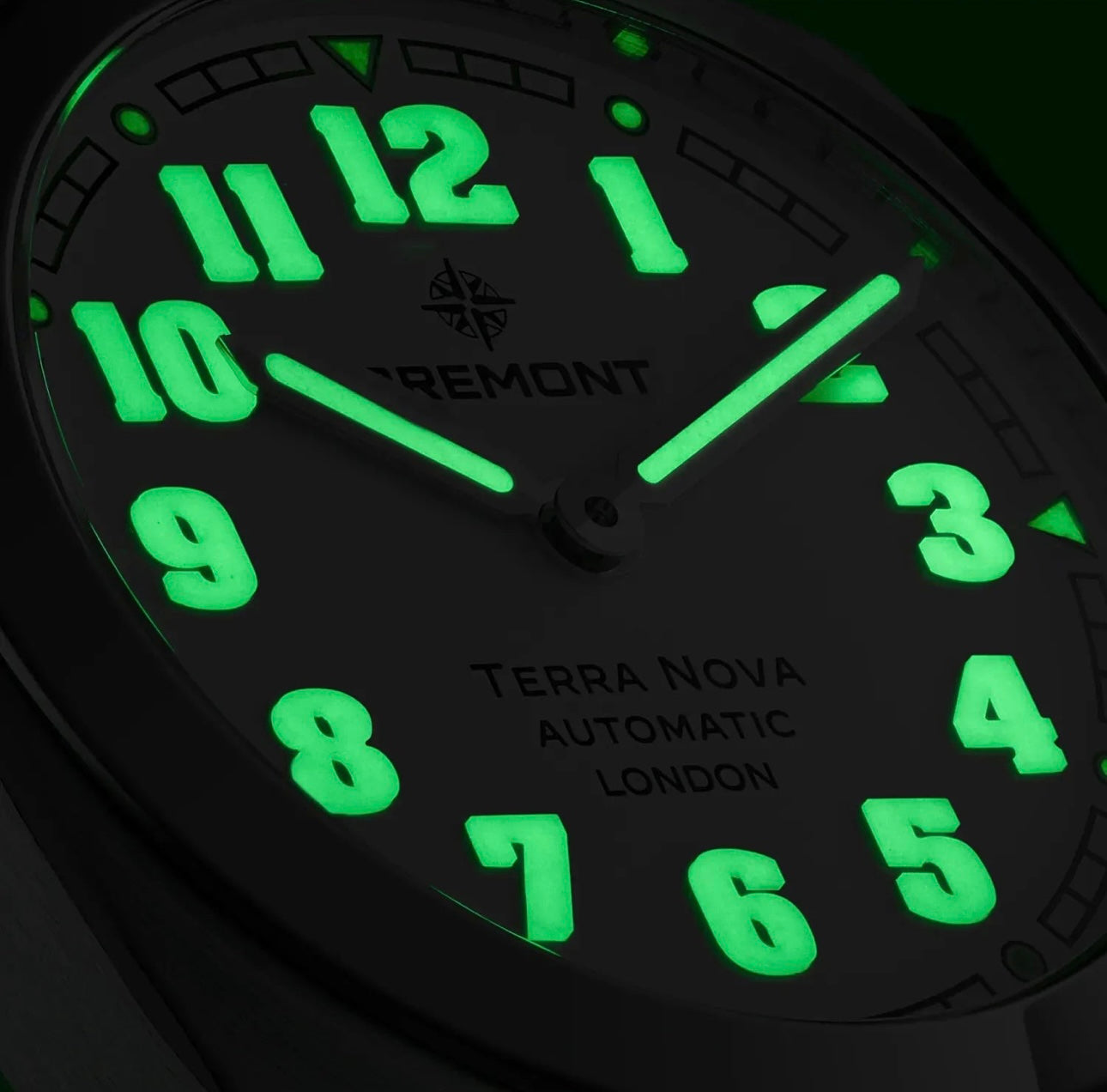 TERRA NOVA 38 'PINK'