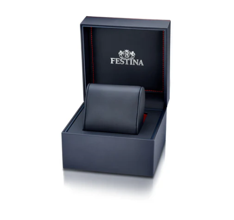 Festina Swiss Made Rive Stainless Steel Analog Mens Watch I Model F20053/4