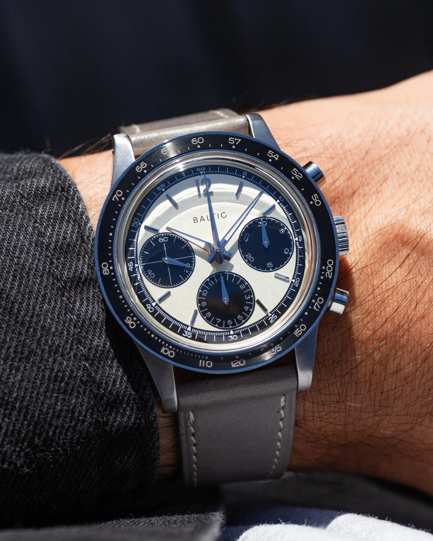 Scalegraph Classic Panda